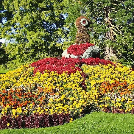 Vakantiehuis Oefingen, Bad Dürrheim